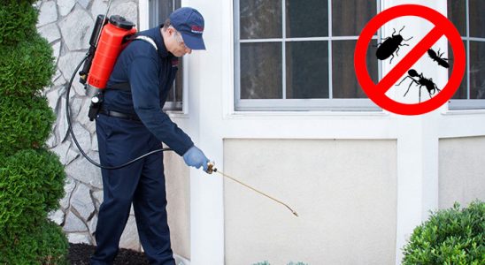 Doğanşehir Kemirgen İlaçlama böcek ilaçlama ve haşere kontrolü — ilaclama-tr.com
